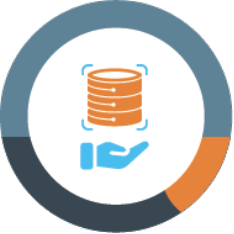Data Migrations Icon