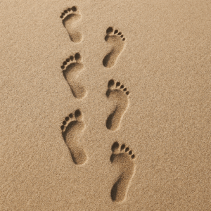 MirrorSphere 2.0 Stacked Logo